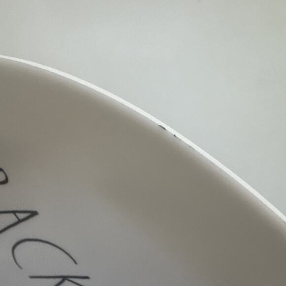 Rae Dunn Melamine BACKYARD Dinner Plates 10" Set of 4 Farmhouse Country - Picture 9 of 9